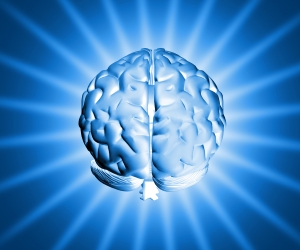 1254880_shiny_brain_