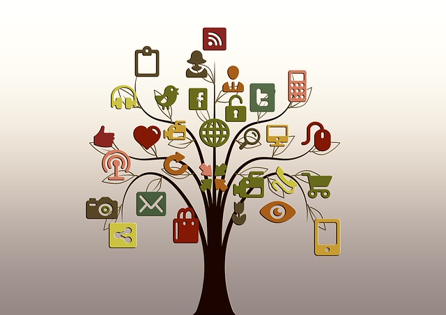 Social Media and PR, How to Strive in Today's Society