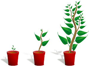 Top Tips For Growing Your Business